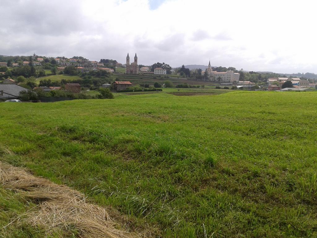 Alojamiento El Pino Cobreces Bagian luar foto